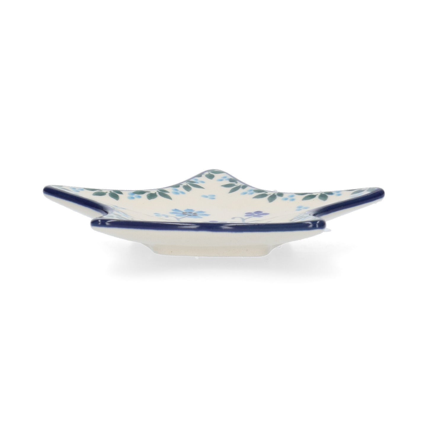 Theetip Ster - Spring Hill