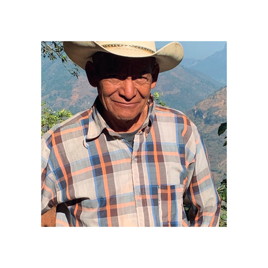 Single Estate-Guatemala