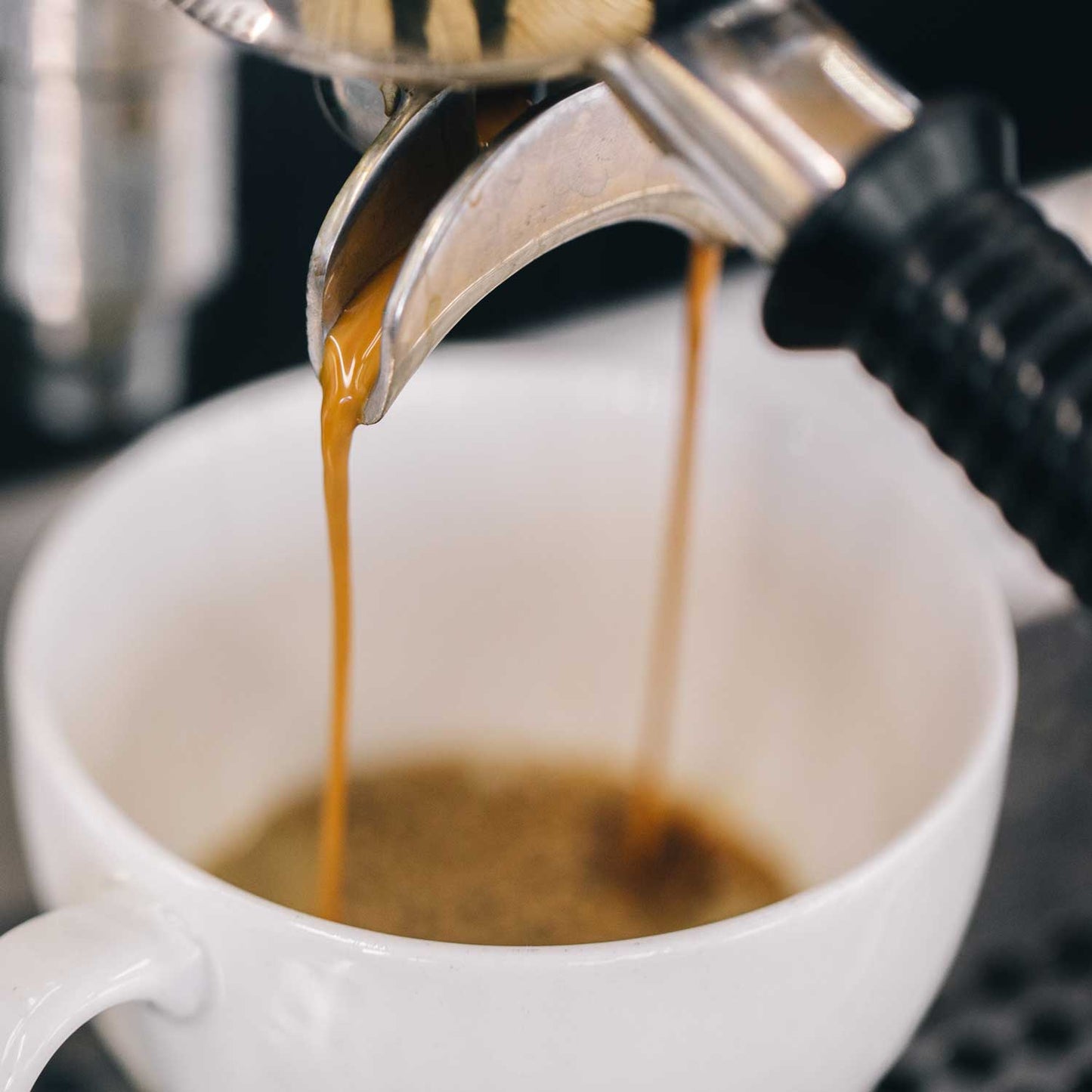 Sample pack 4 Filter/Cafétiere