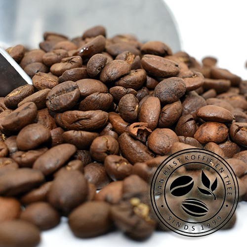 The Tastiest Coffee Bean 