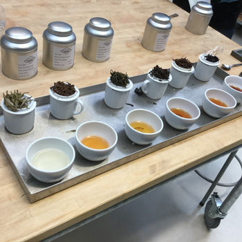 Van Hilst Coffee and Tea Sommelier 