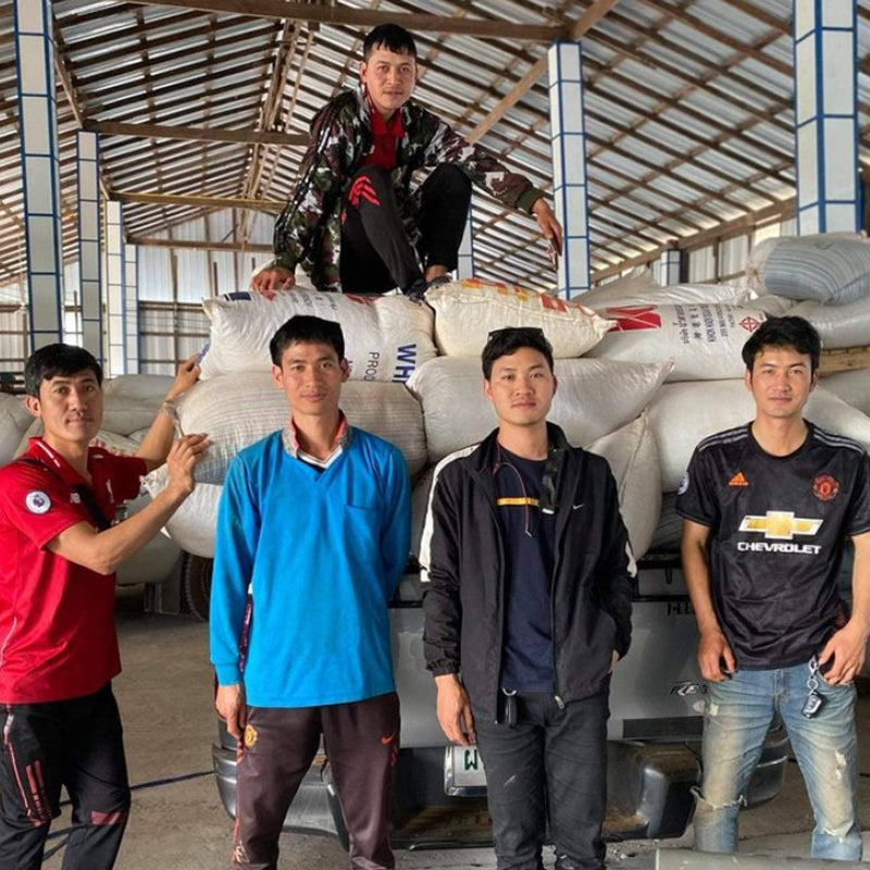 Premium Microlot koffie uit Thailand