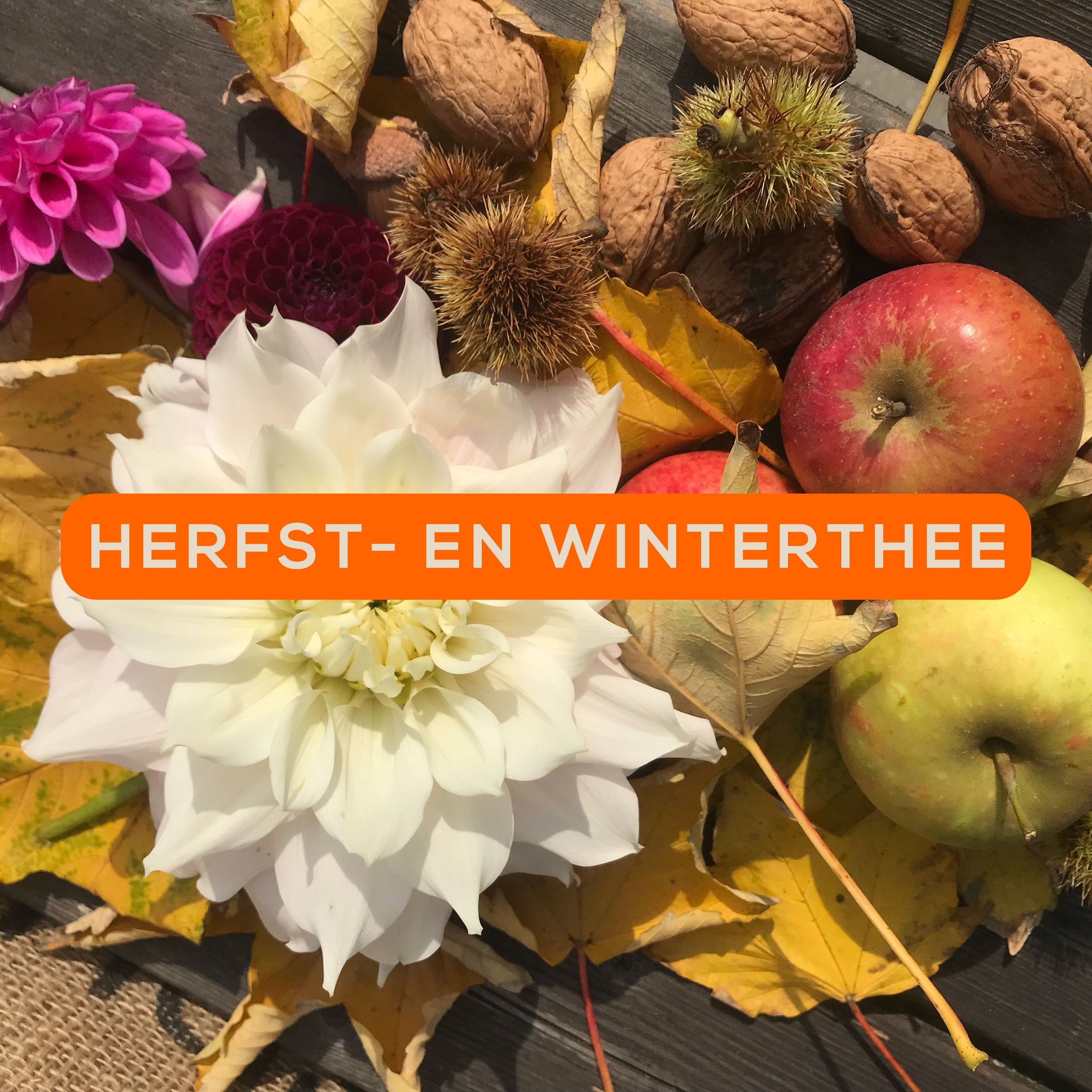 Verzameling met herfstkleuren: appel, gele blaadjes, eikels, kastanjes, witten paarse bloemen.
