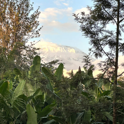 Single Estate - Tanzania