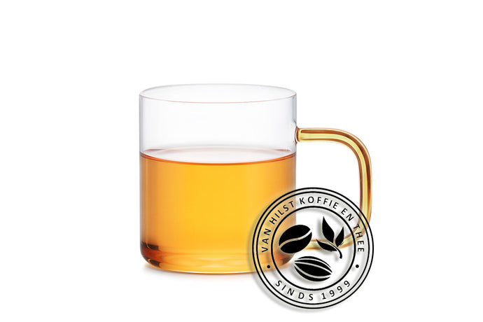 Samadoyo - Theeglas met RVS filter